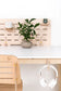 PEGASUS // DESK ORGANISER // 1150 WIDE