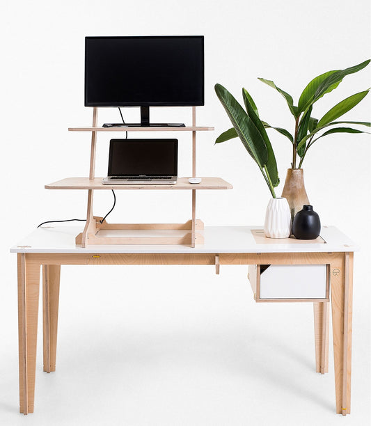 T-REX // BIRCH // STANDING DESK